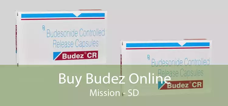 Buy Budez Online Mission - SD