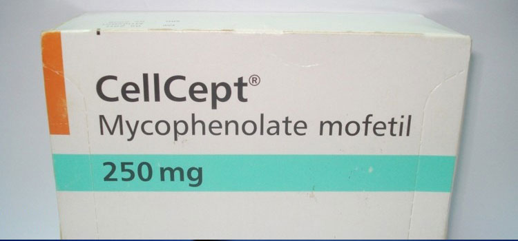 order cheaper cellcept online in Mission, SD